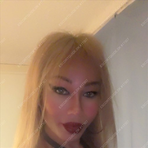 JJ Ladyboy Lyngby-Holte Villa Private områder open24/7