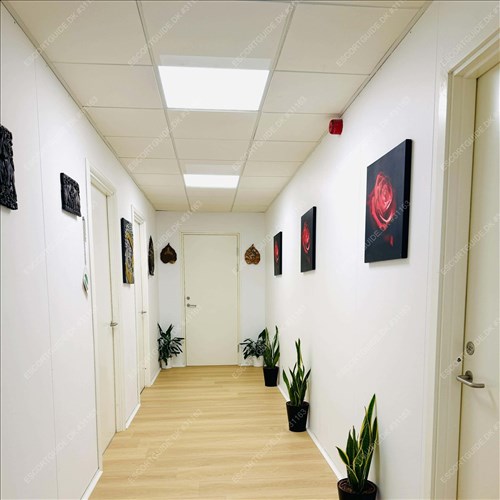 Yen Wellness Thai Massage in Ballerup