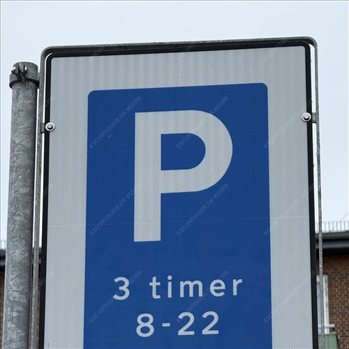 Mali hun er arbejder i  206A Amagerbrogade   rige  til nr.   44107040 