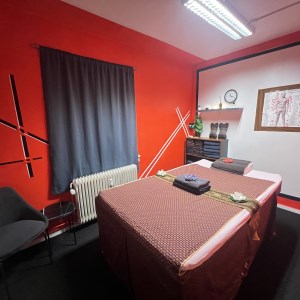 Professional thai massage 
Storkøbenhavn

Tel: 93999726 // #1