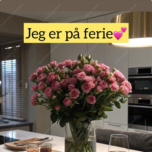 Nika Roskilde😻🥂OUTCALL🚖 ~INCALL🏠GFE,Tantra massage,Strapon game. Party✨🥂