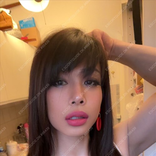 thaiLadyboy-kate