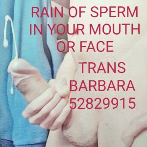  SLAGELSE 4200 TRANS BARBARA RAIN SPERM
Vestsjælland

Tel: 52829915 // #6