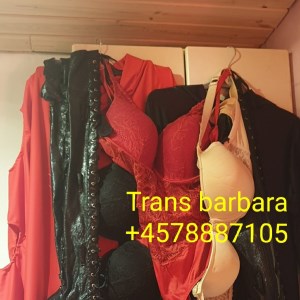 SORØ ???? / JUST ACTIVE???? TOP?????? / ??????TRANS BARBARA CHOKING THROAT WITH MY HARD COCK
Vestsjælland

Tel: 78887105 // #44