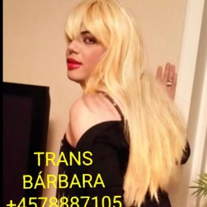 SORØ ???? / JUST ACTIVE???? TOP?????? / ??????TRANS BARBARA CHOKING THROAT WITH MY HARD COCK
Vestsjælland

Tel: 78887105 // #11