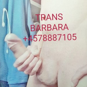 SORØ ???? / JUST ACTIVE???? TOP?????? / ??????TRANS BARBARA CHOKING THROAT WITH MY HARD COCK
Vestsjælland

Tel: 78887105 // #6