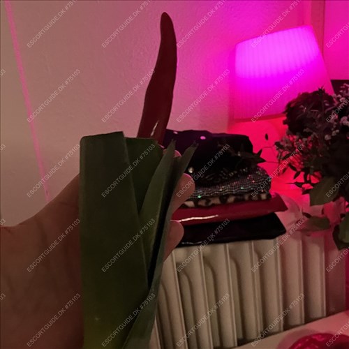 BELLA LATINA ,LOVE PUSSY DRIP ♥️💦💦24/7