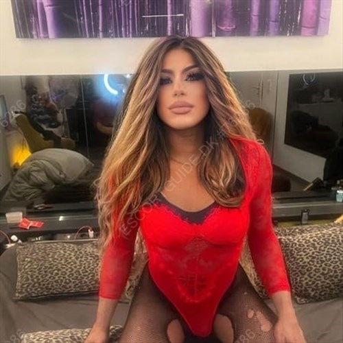  Trans Donatella