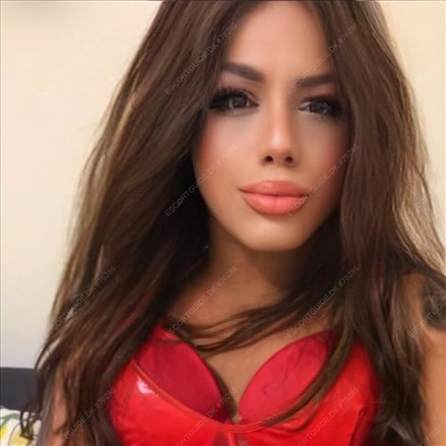  Trans Donatella