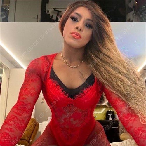  Trans Donatella